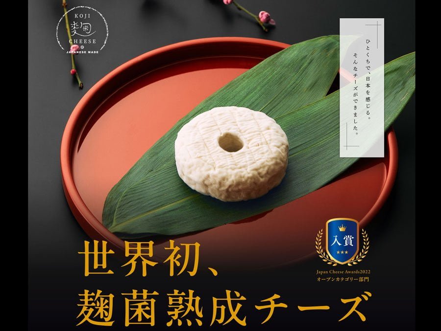 「麹チーズ」日本初の麹菌発酵ナチュラルチーズ登場！