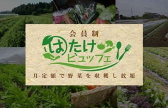 はたけビュッフェ