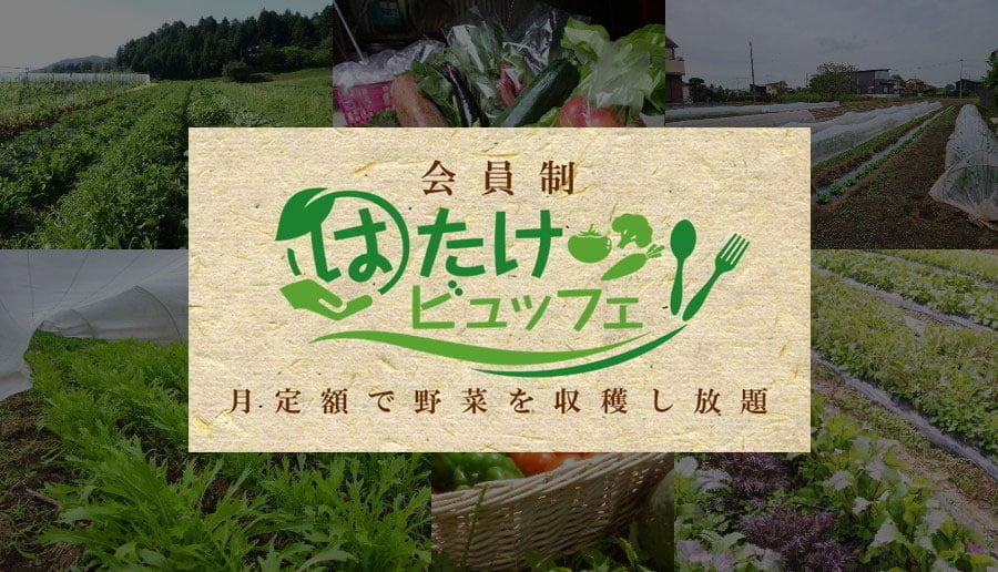 『はたけビュッフェ』埼玉県と愛知県で新規オープン！