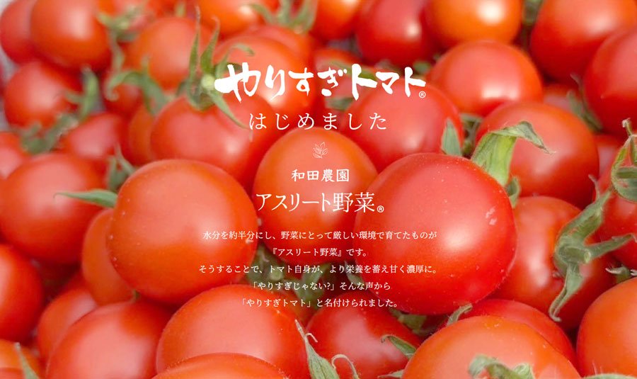 和田農園の「やりすぎトマト」、特別なトマトが予約開始
