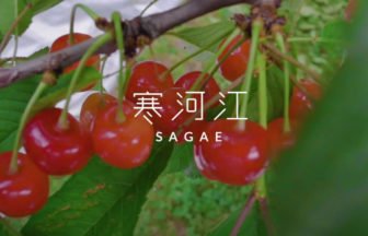 ホテルシンフォニーのウェルカムサクランボ