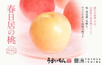 春日居の最高級桃5品種リレー