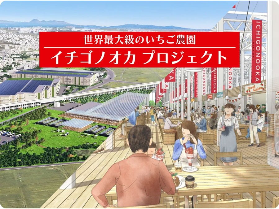 世界最大級のいちご農園整備へ！「イチゴノオカプロジェクト」