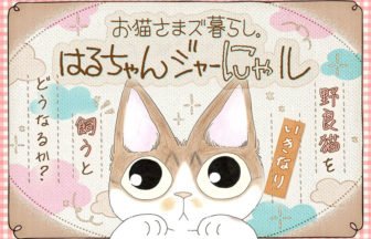 お猫さまズ暮らし。はるちゃんジャーにゃル