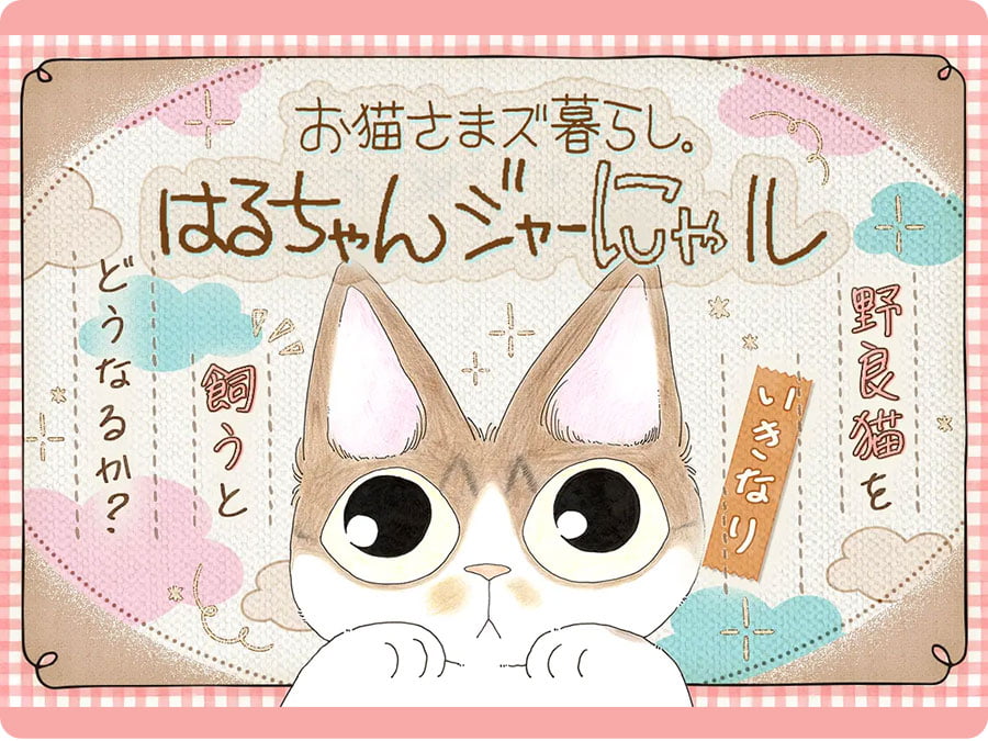 「お猫さまズ暮らし。はるちゃんジャーにゃル」連載開始