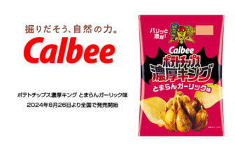 ポテトチップス濃厚キング とまらんガーリック味