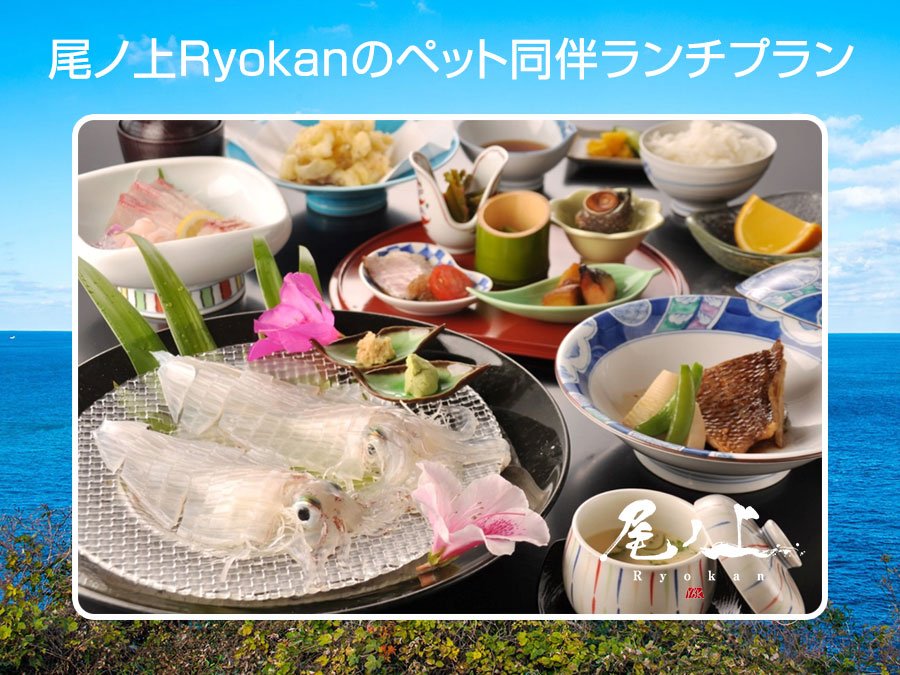 尾ノ上Ryokanで過ごす涼やかな残暑！ペット同伴可能なランチ