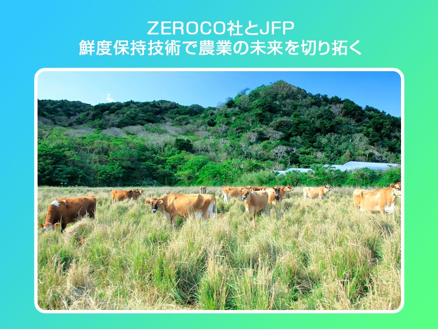 ZEROCO社とJFPが鮮度保持技術で農業の未来を切り拓く