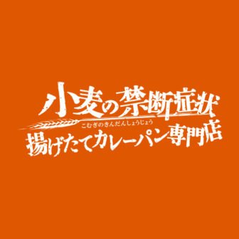 スリーエスホールディングス