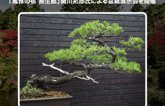 関川拓郎氏による盆栽展示会