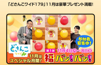 どさんこワイド179