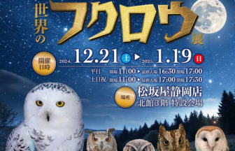 世界のフクロウ展