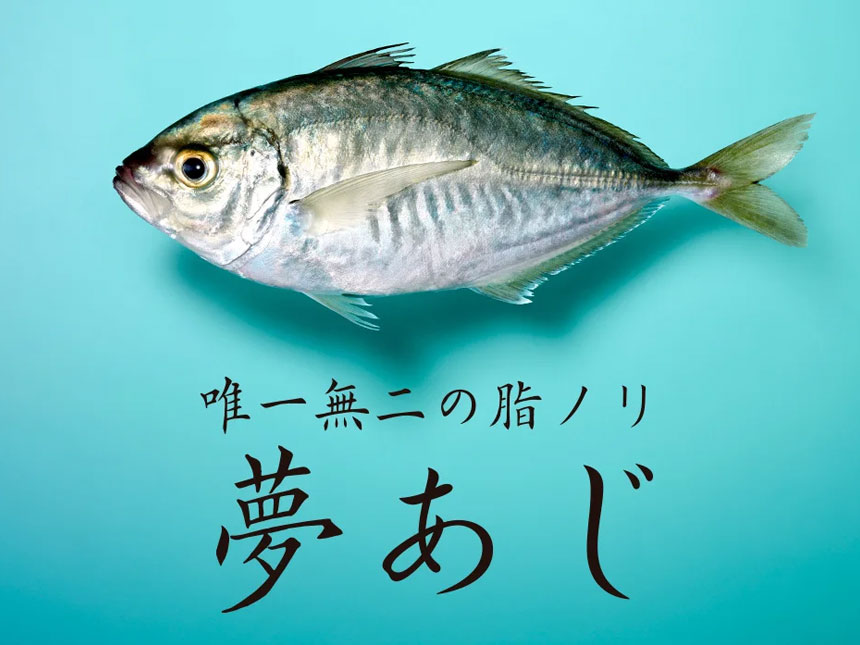 株式会社さかなドリームが新品種「夢あじ」のテスト販売を開始