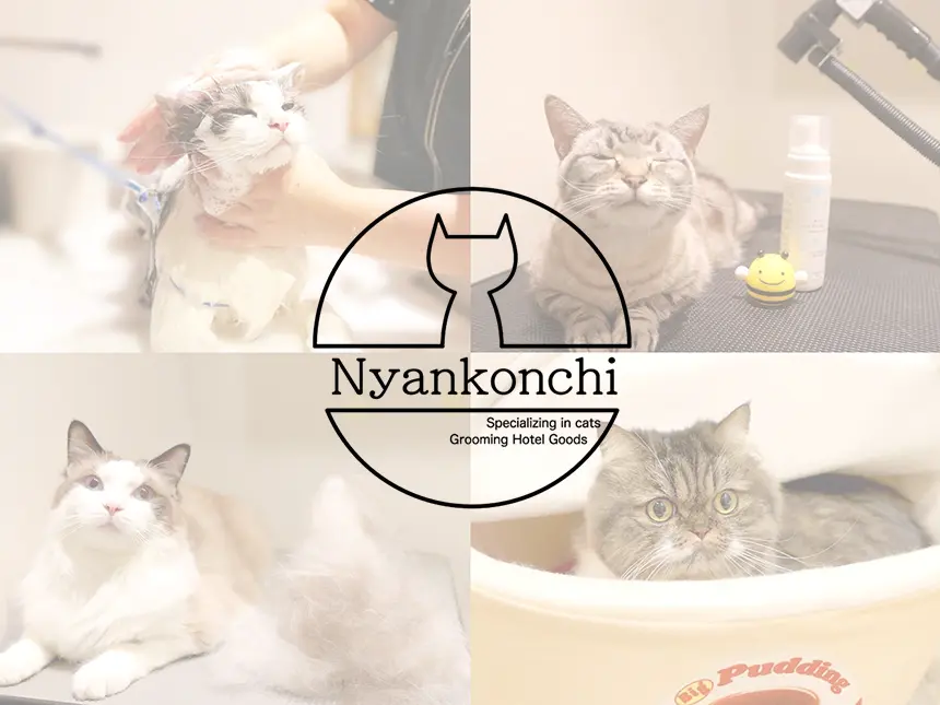猫のためのトリミング＆ホテルサービス「にゃん子ん家」開業