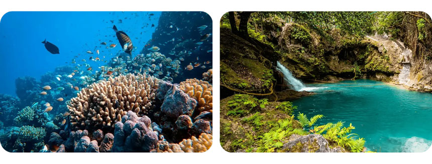 海外リゾートでの散骨サービス