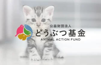 保護猫プロジェクト「笑にゃん日和」