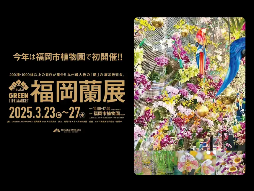 福岡市植物園「GREEN LIFE MARKET – 福岡蘭展2025」