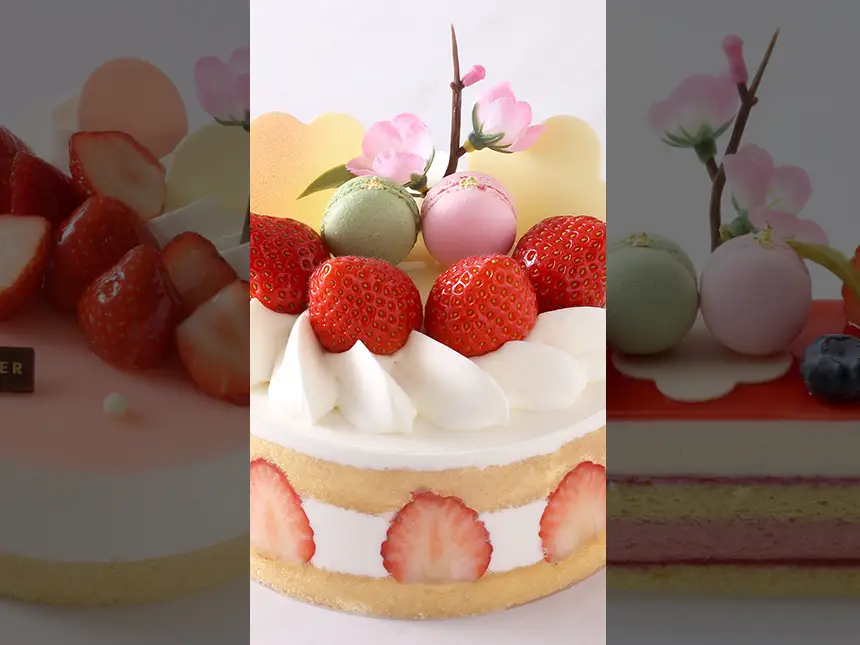 ヴィタメール、ひなまつり限定ケーキの販売開始!3月1日