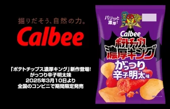 ポテトチップス濃厚キング がっつり辛子明太味