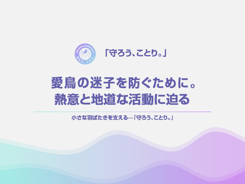 「守ろう、ことり。」