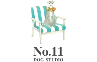 犬のためのオーダーメイド整体