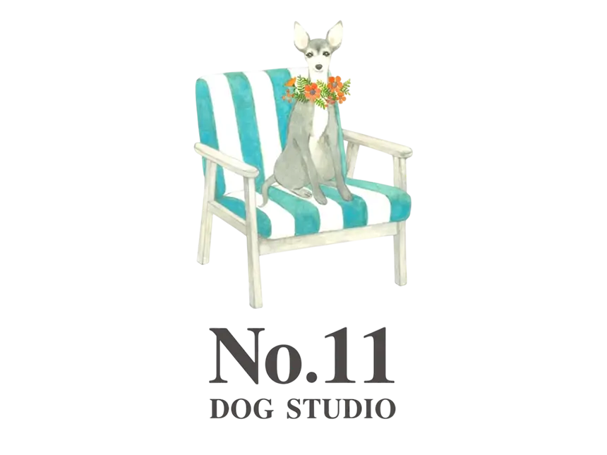 愛犬の“健康寿命”を延ばす！東洋医学と犬の解剖学に基づいたドッグ整体マッサージが注目