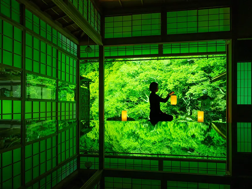 新緑ライトアップと山県市の食文化を融合したフォトイベント「新緑の食景」開催決定！（完全予約制）