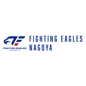 豊通ファイティングイーグルス