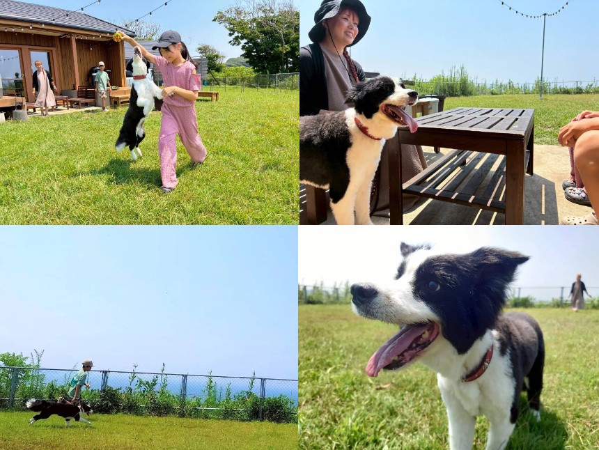 プライベートドッグラン付き グランピングコテージ