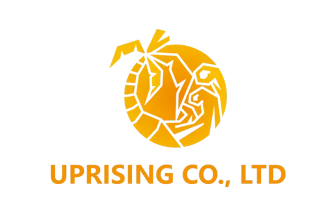 アップライジング