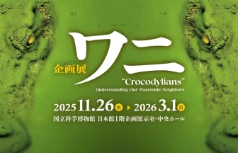 企画展「ワニ」