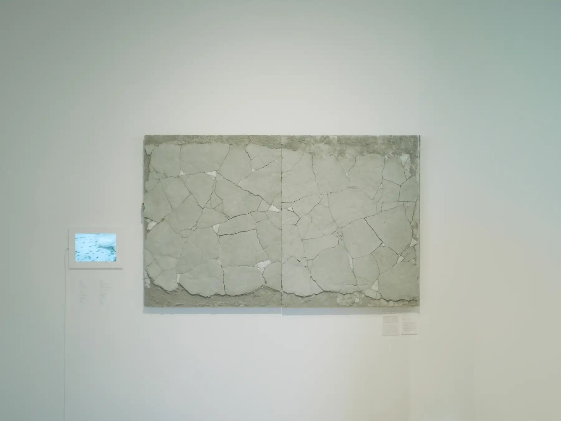 【画像】肌をつたって Along the skin