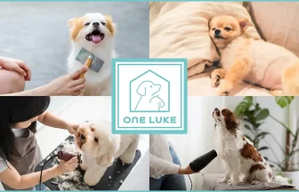 トリマーの求人・転職