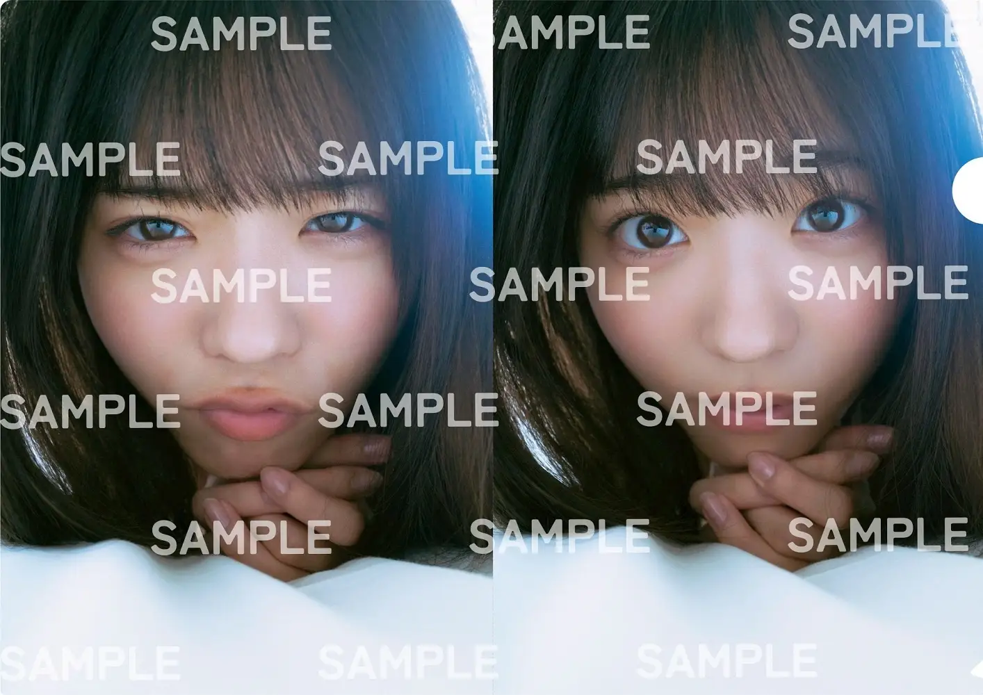 クリアファイル(A4サイズ)