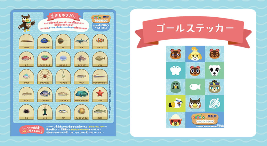 「生きものさがし」カード