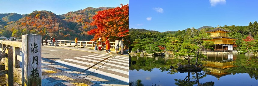 京都の日常にそっと身を置くようなそんな静かな時間が流れる場所