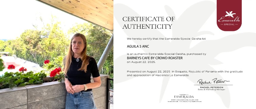 レイチェル・ピーターソン