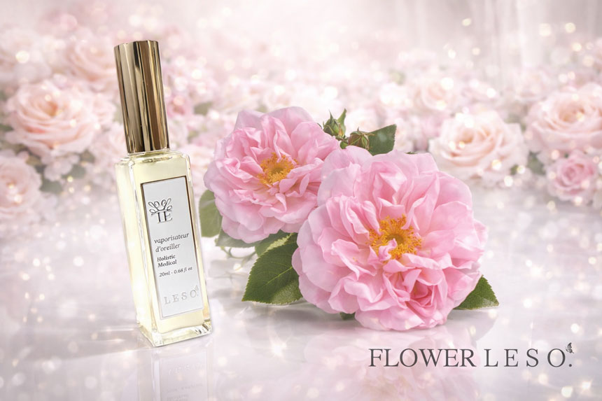 ダマスクローズ（美・愛）