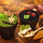 芋ほりティラミス