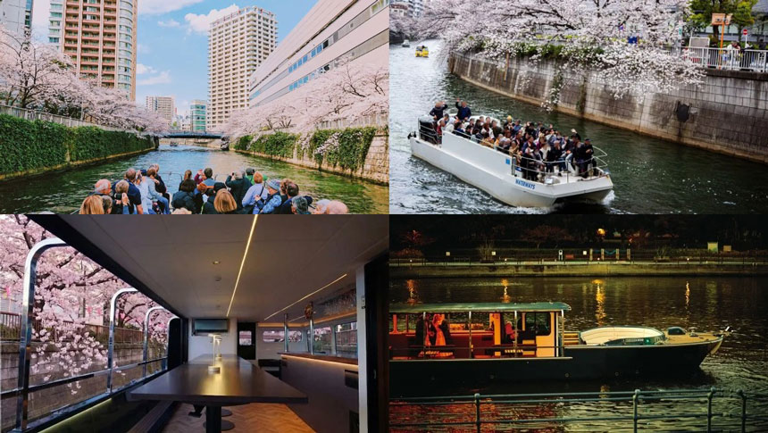 目黒川お花見クルーズ