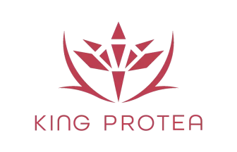 キングプロテア