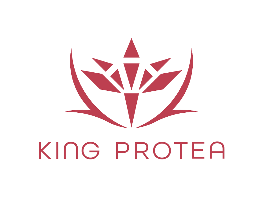 キングプロテア