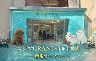 コジマGRAND麻布十番店