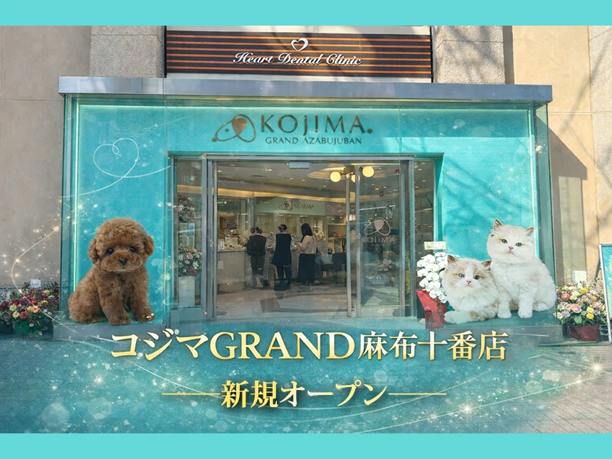 コジマGRAND麻布十番店