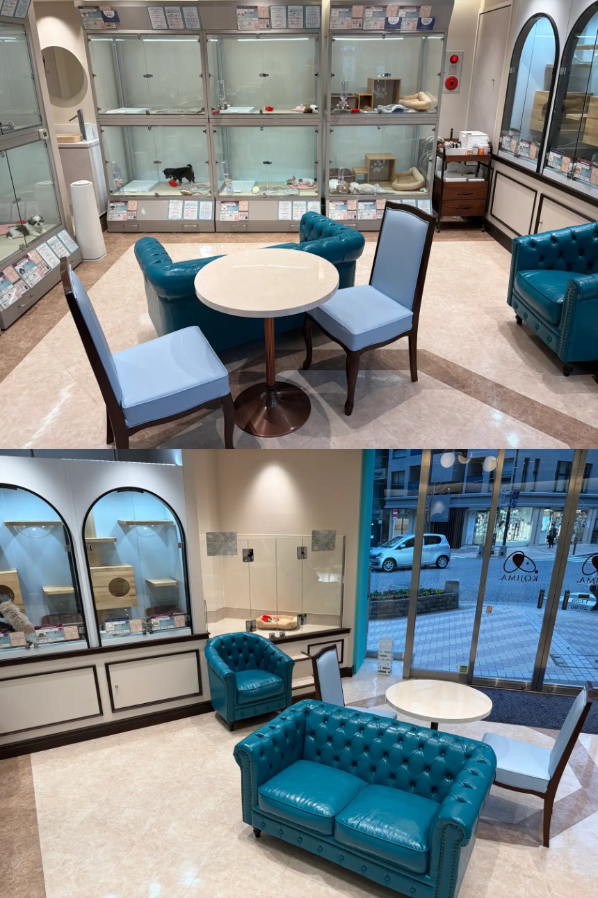 洗練された空間設計