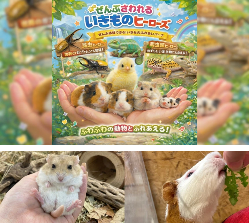 ふれあいミニ動物園