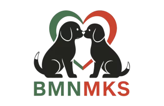 BMNMKS