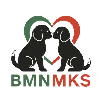 BMNMKS
