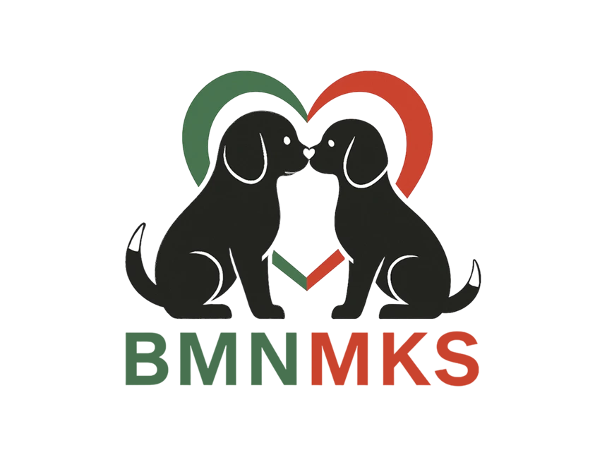 BMNMKS
