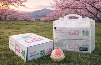 EBISTトート | FRUIT BOX